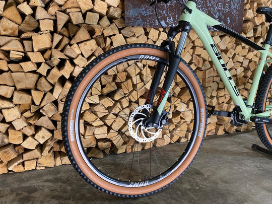Bulls Bushtail 29 pistachio