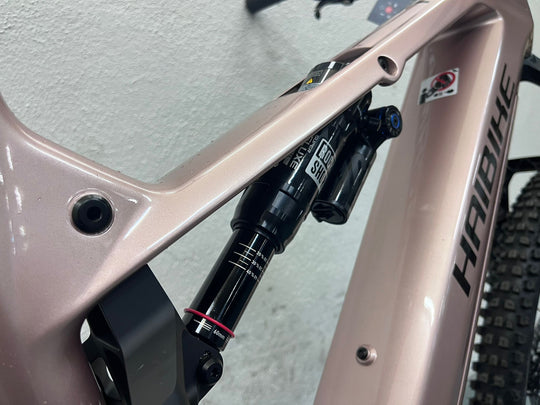 Haibike Allmtn CF 11