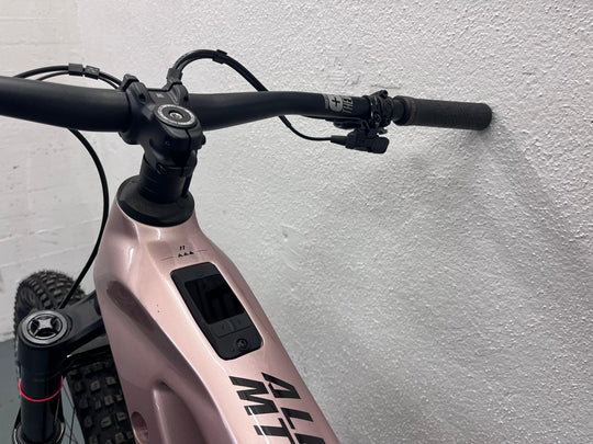 Haibike Allmtn CF 11