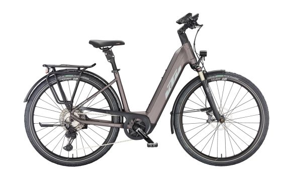 MACINA STYLE 710 elderberry matt