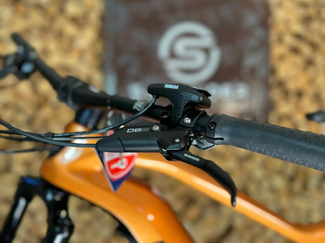 Haibike AllMtn CF 6