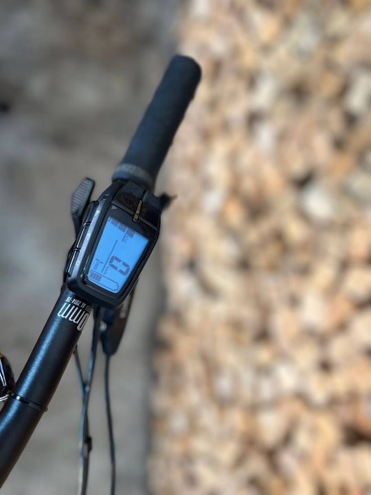 Haibike AllMtn CF 6