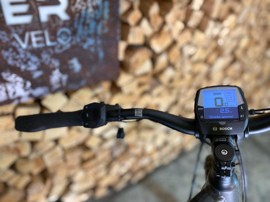 Haibike Trekking 9