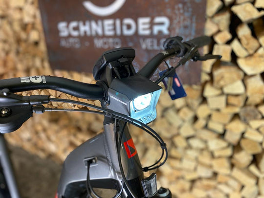 Haibike Trekking 9