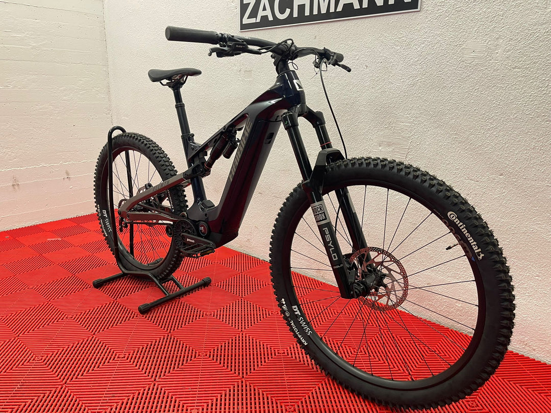 HAIBIKE ALLMTN CF 10