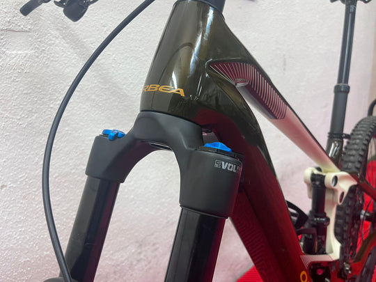 Orbea Wild M10