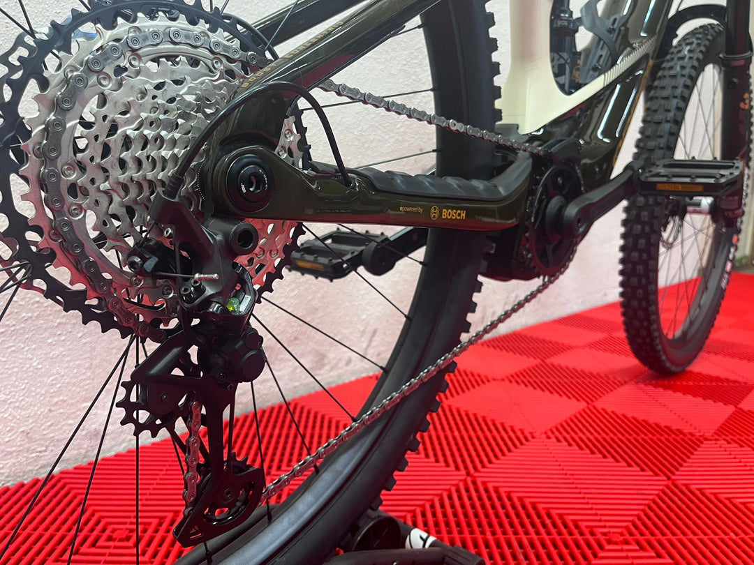 Orbea Wild M10